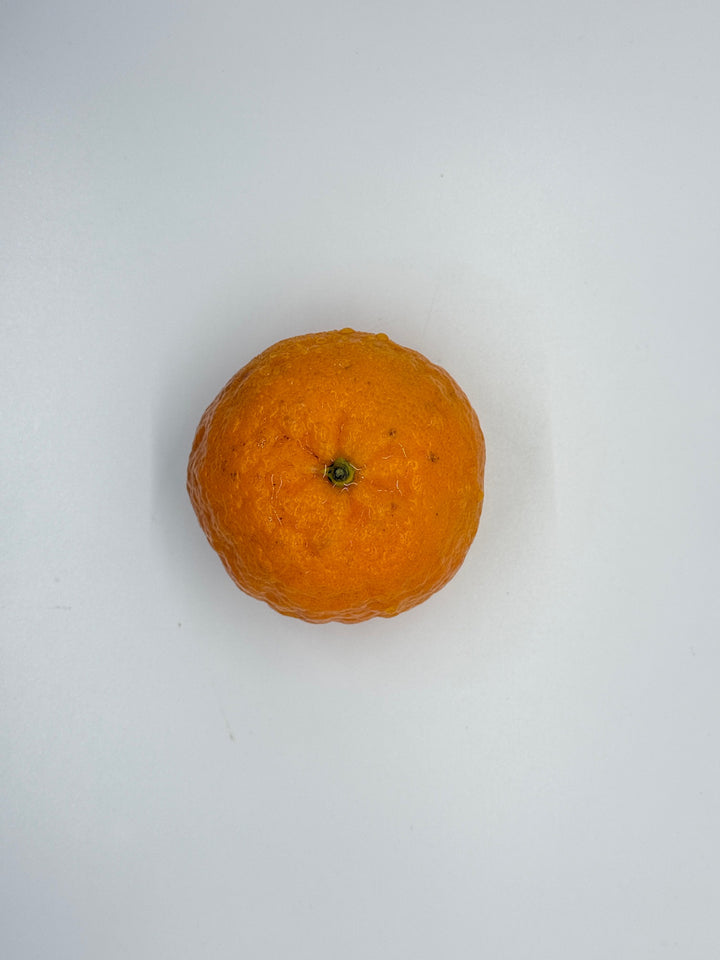 Mandarins Gold Nugget 1 pc