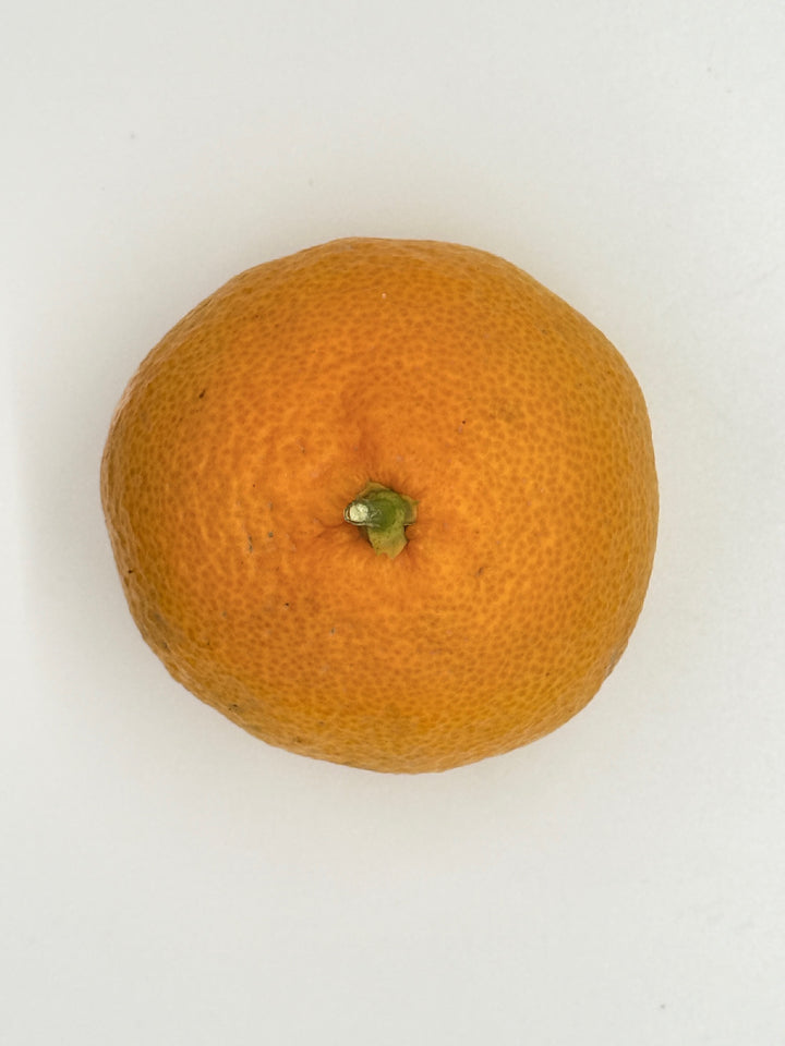 Mandarins Owari Satsuma 1 pc