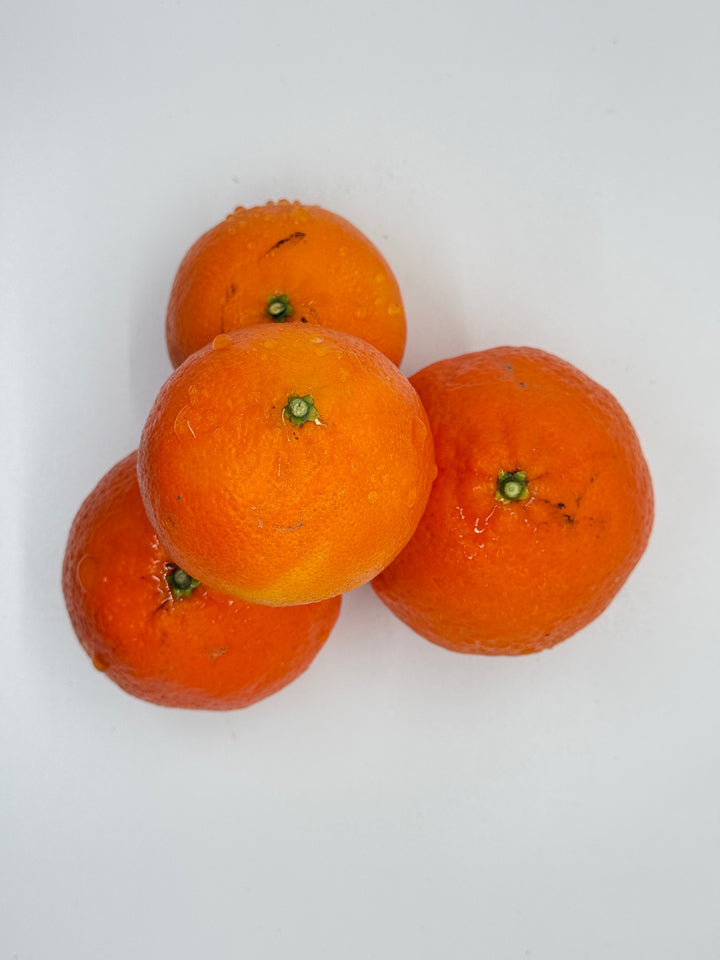 Mandarins, Seedless Daisy 1 lb