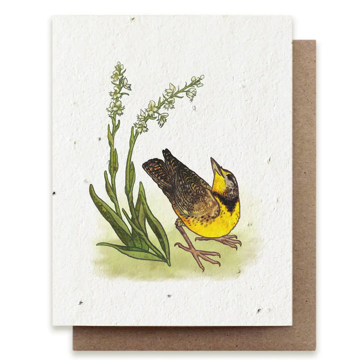 Meadowlark & Prairie Orchid Plantable Herb Seed Card