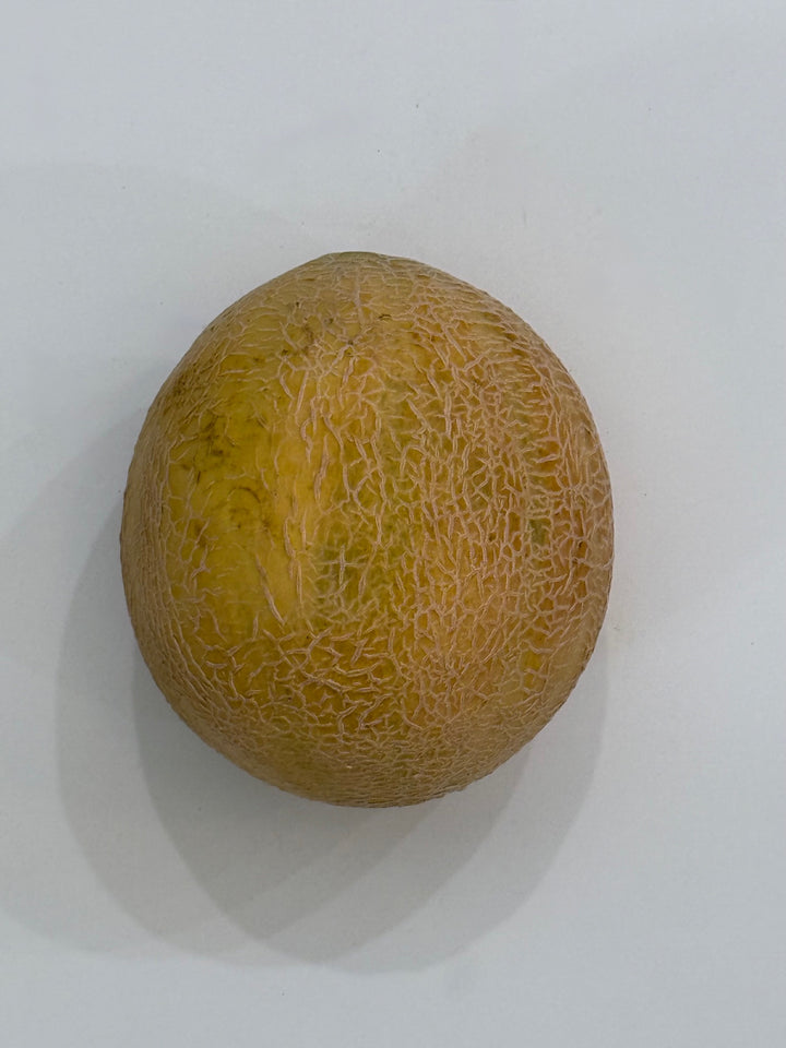 Melon, Cantaloupe "Athena"