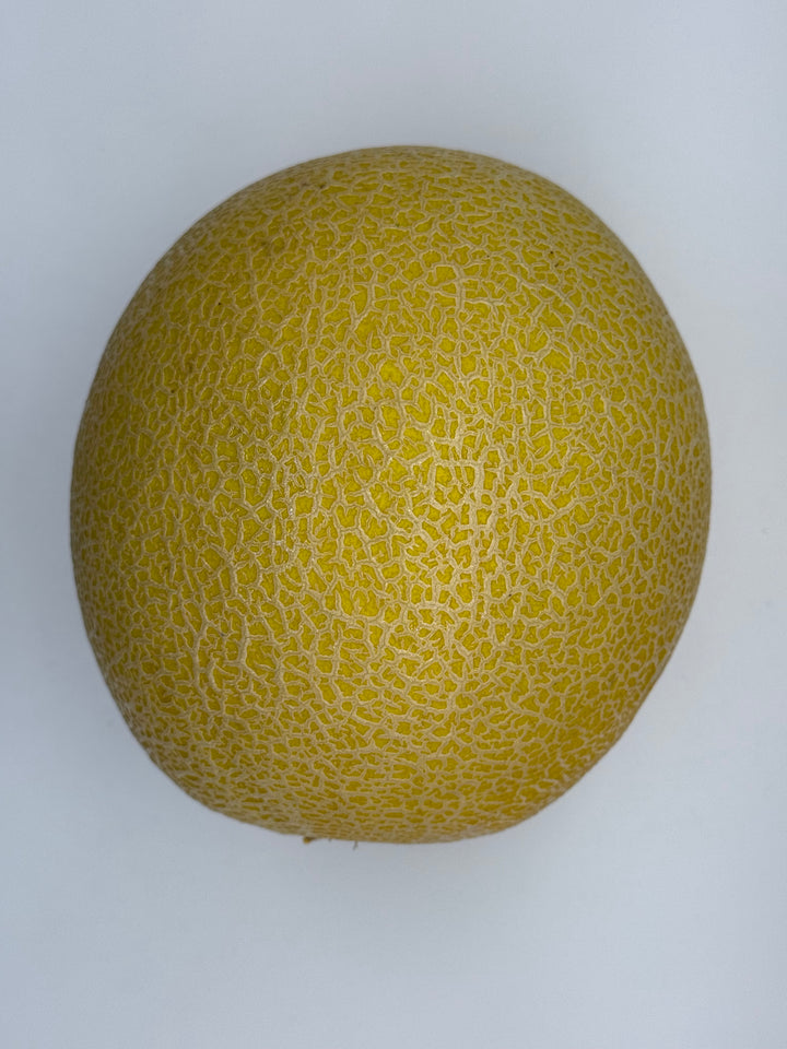 Melon, Summer Kiss