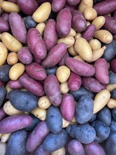 Multicolor Pee Wee Fingerling Potatoes 1 lb