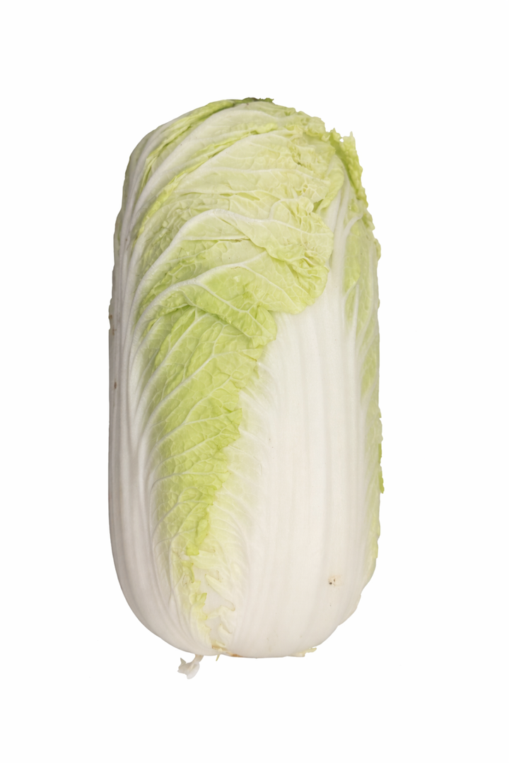 Napa Cabbage, Large, Organic
