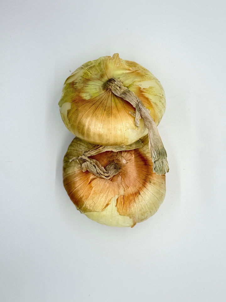 Onions Cipolini, 0.5 lb