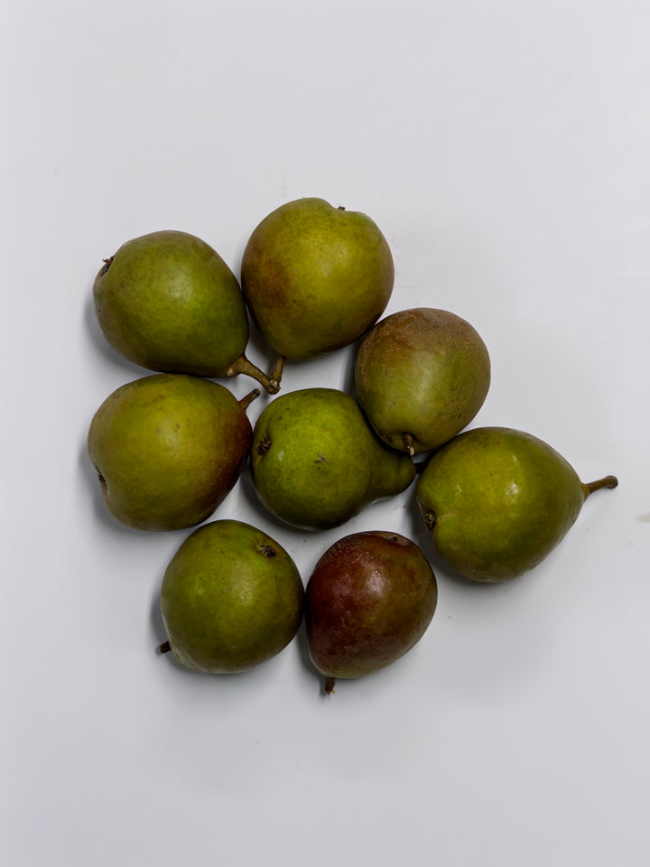 Pears Seckel 1lb