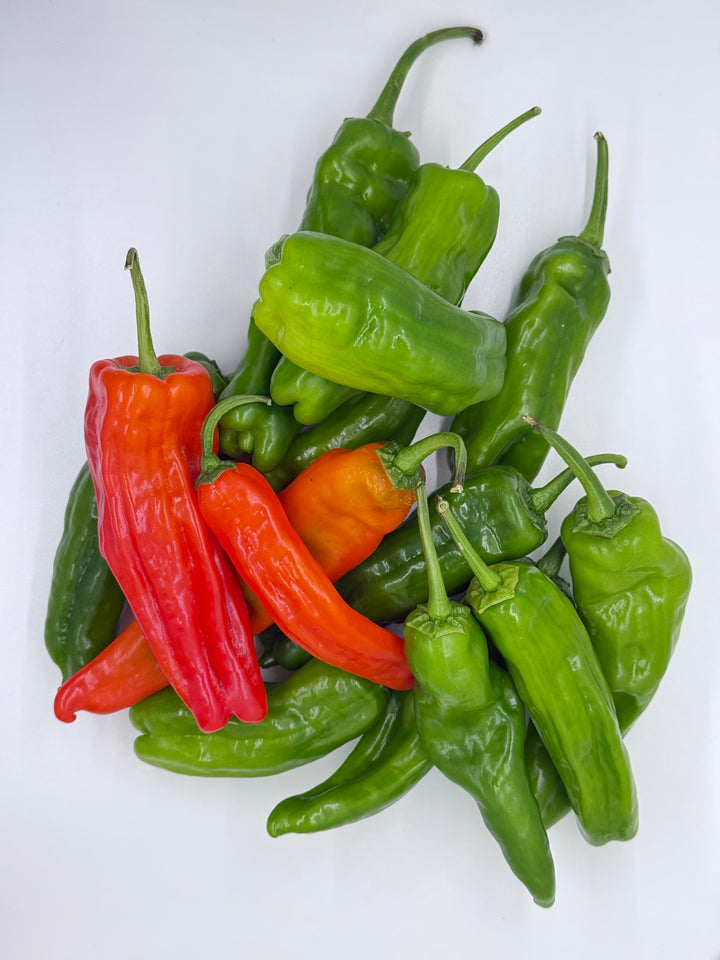 Peppers, Shishito Green & Red "Christmas" Mix 1lb