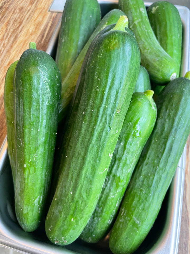Persian Cucumbers, Organic