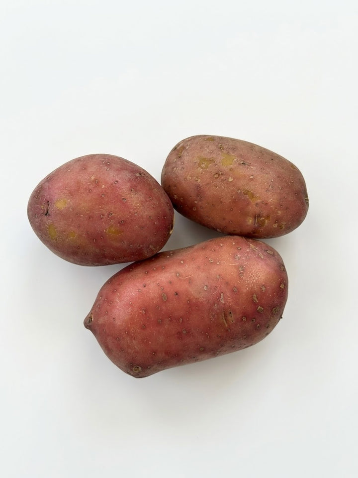 Potatoes, Red/Yellow, "Baltic Rose" 1 lb