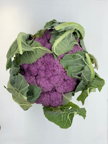 Purple cauliflower with green leaves on a light gray background