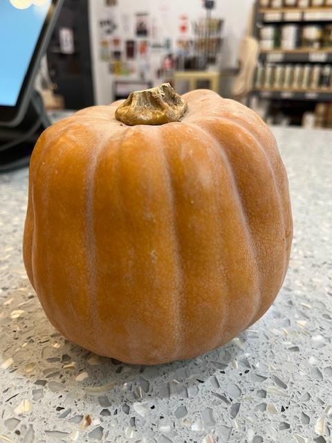 Robin's Koginut Squash, Organic pc