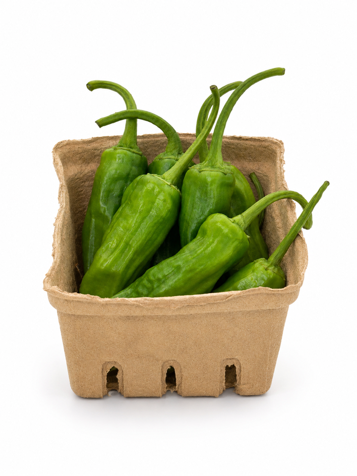 Shishito Peppers, pint