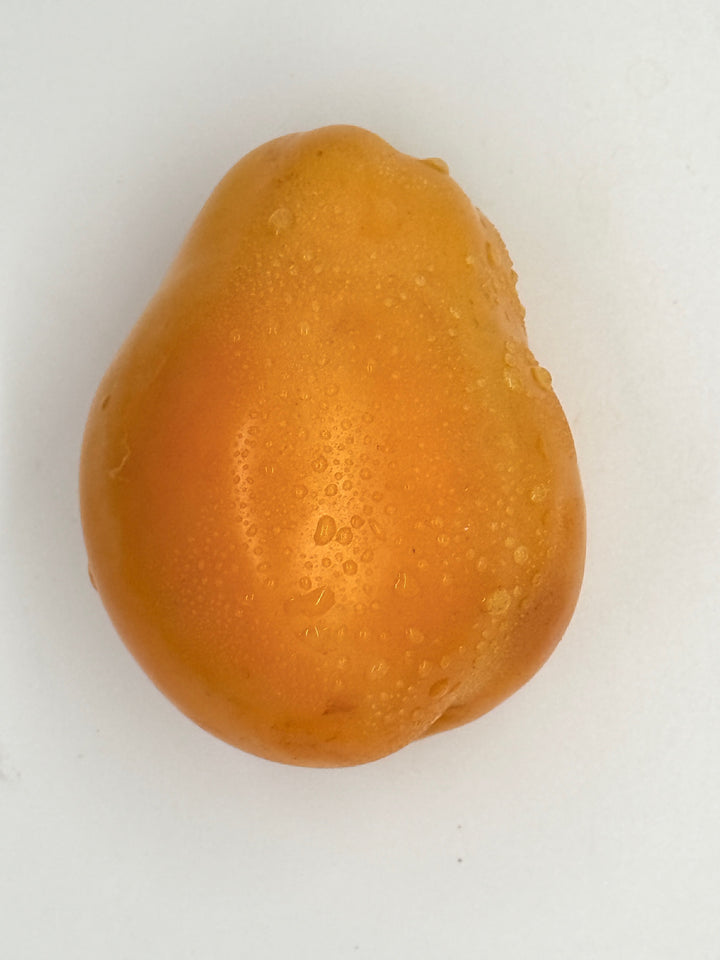 Siberian Orange Oxheart Tomatoes, Organic 1 pc