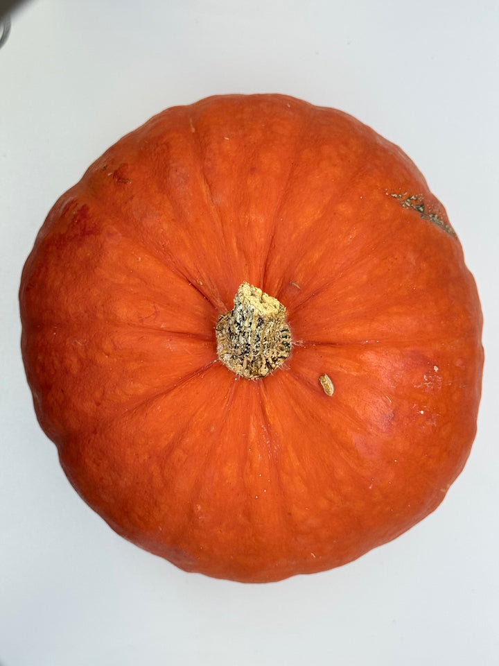 Squash, Kabocha Red, Organic Pc