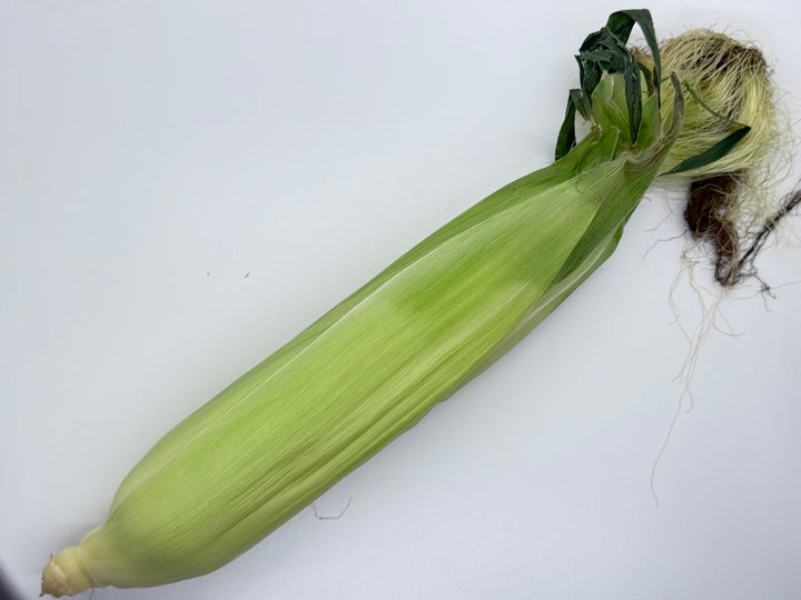 Sweet Corn, Organic