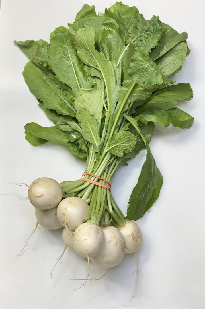 White Hakurei Turnips, Bunched, Organic