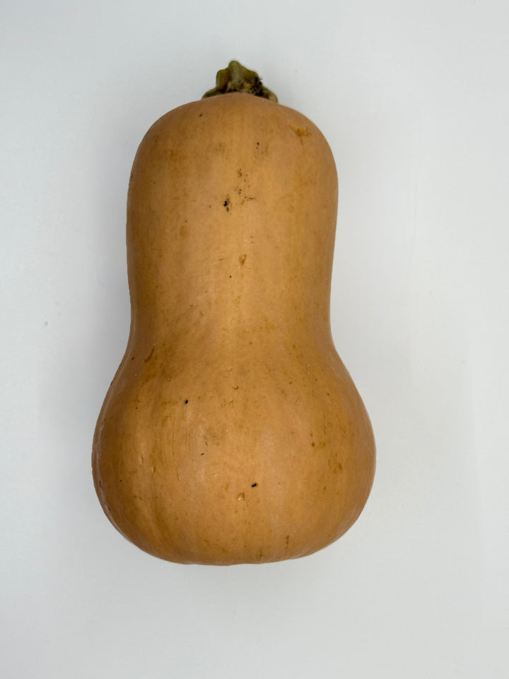 Winter Squash, Brulee Organic Pc