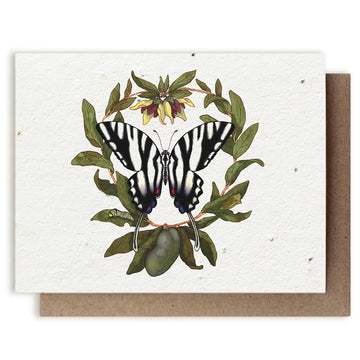 Zebra Swallowtail Butterfly & Pawpaw Plantable Herb Card
