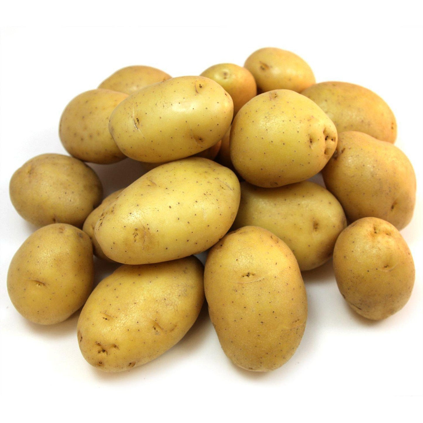 Gold Potatoes, Organic 1lb