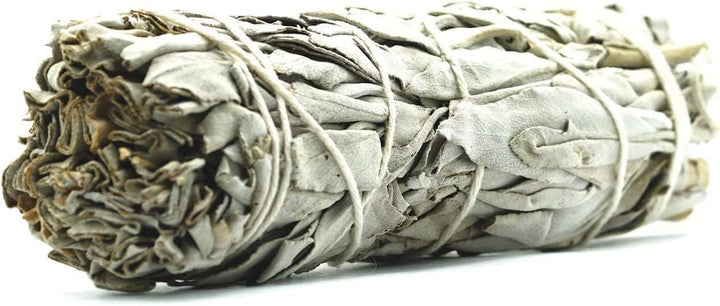 White Sage 4-inch Smudge Bundle