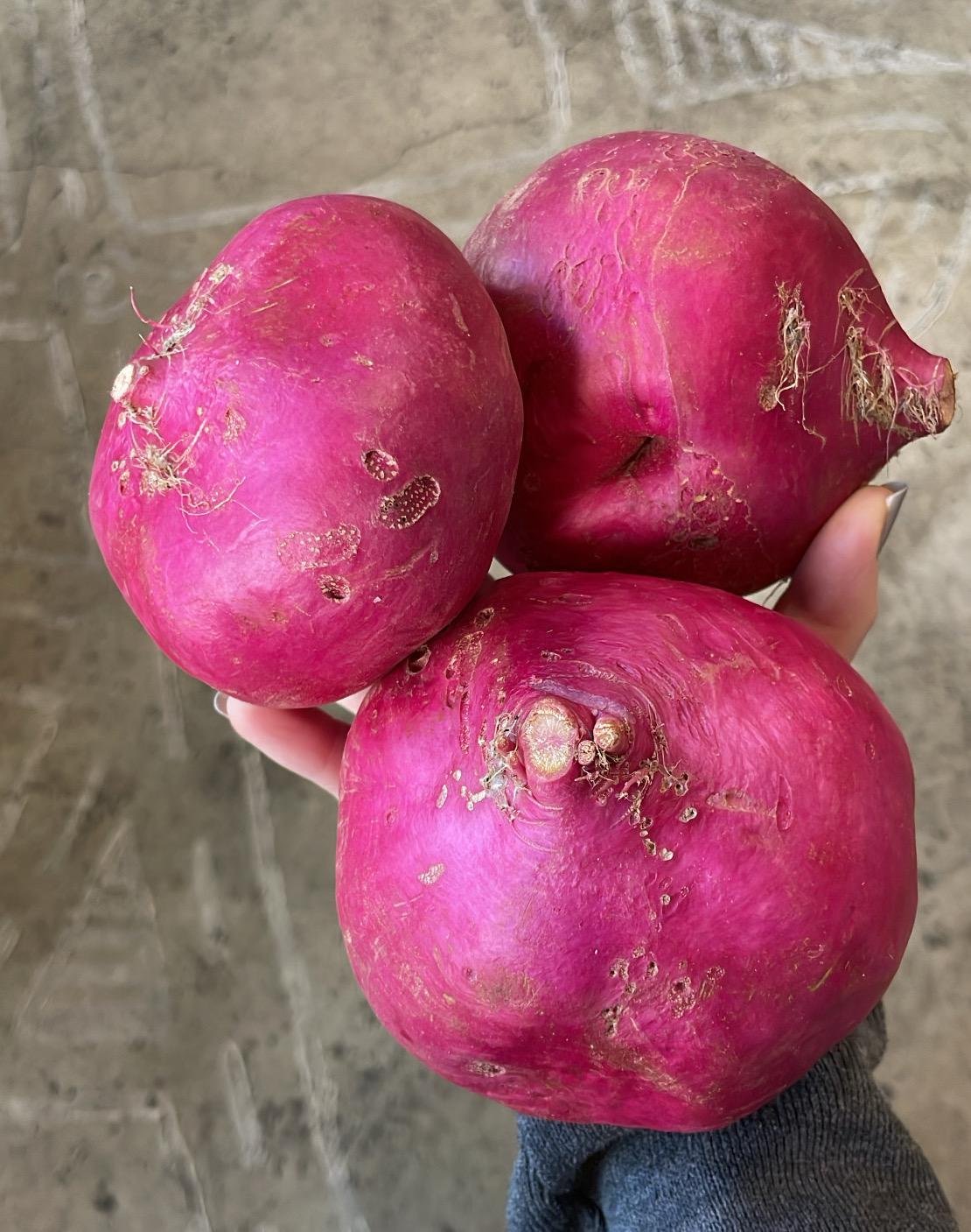 Turnips, Scarlet Organic 1lb