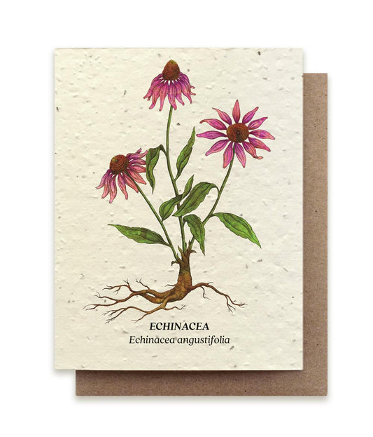 Echinacea Plantable Wildflower Card