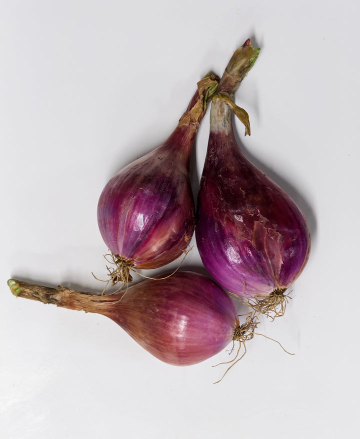 Shallots, Fresh Organic 0.25lb