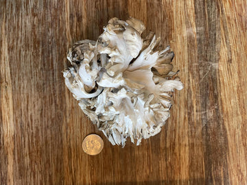 maitake mushroooms 0.25 lb
