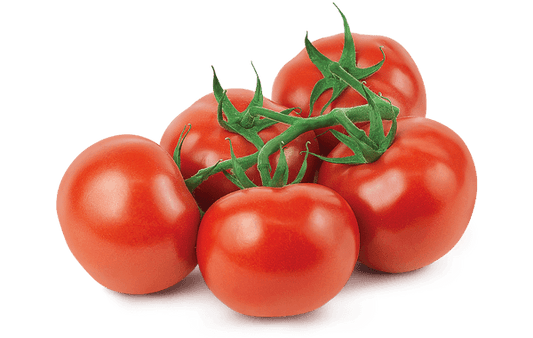 Tomatoes, On Vine
