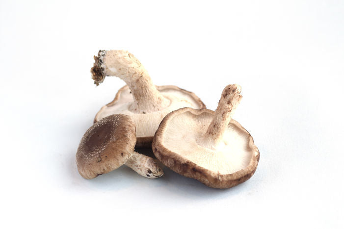 Mushroom Shiitake, Organic 0.25lb