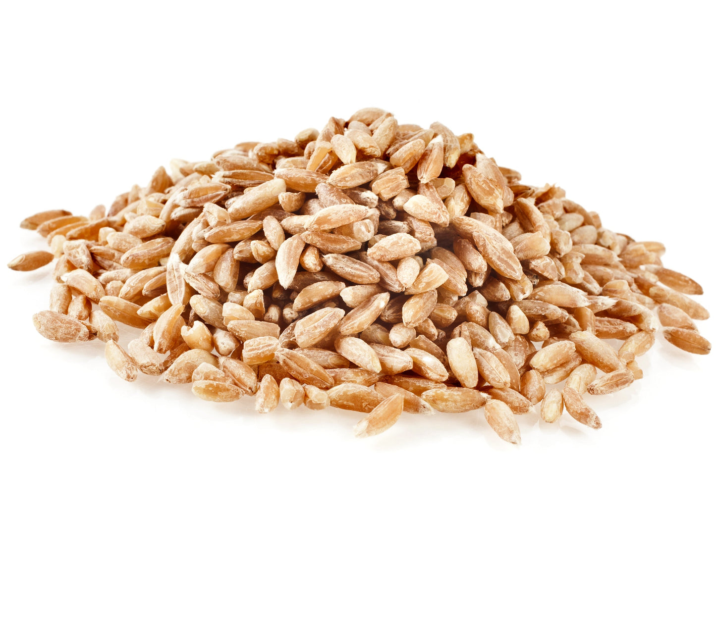 Farro Emmer Wheat, NYS, Organic 1 lb
