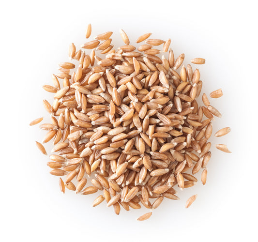 Spelt Berries, Organic, 1 lb